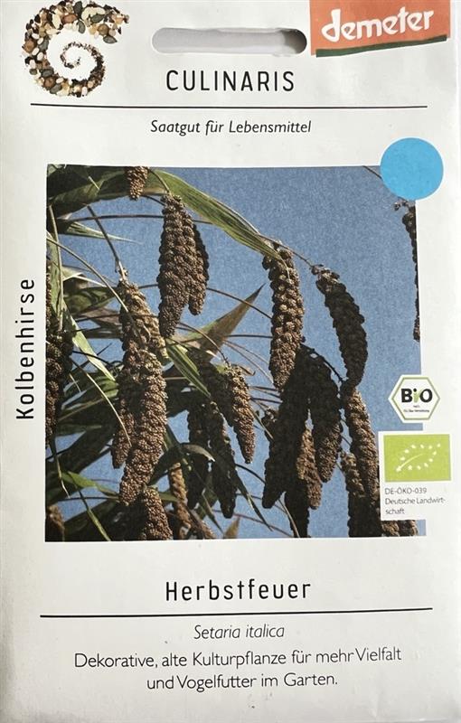 Bio Kolbenhirse Herbstfeuer