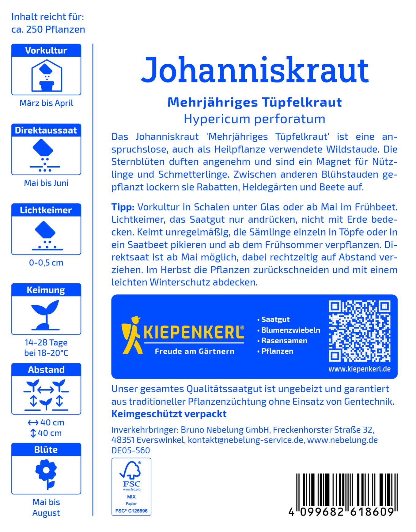 Hypericum Johanniskraut - Produktbild 2
