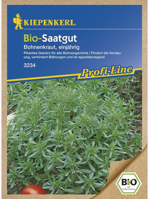 Bio Kräuter Bohnenkraut Cyrano