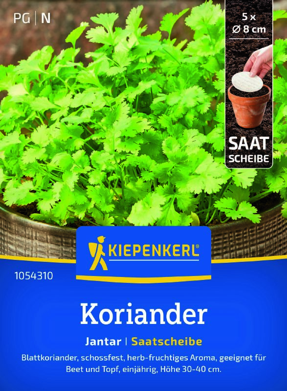 Saatscheibe Koriander Jantar