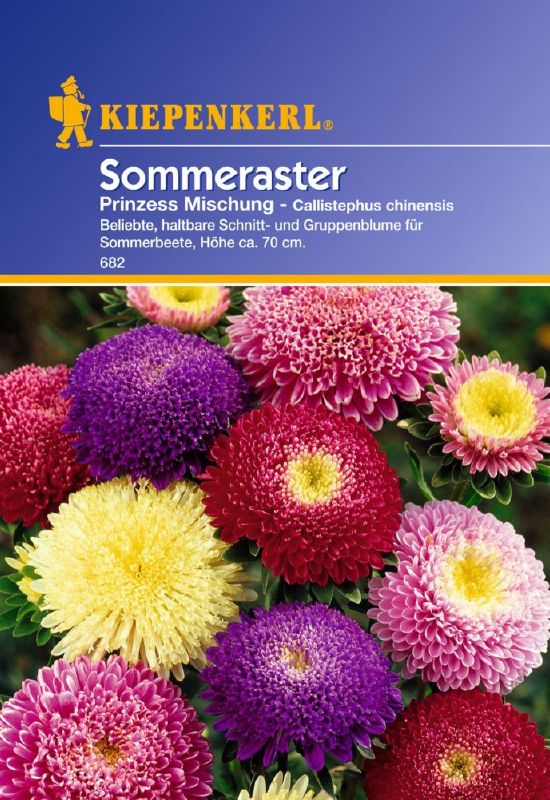 Aster, Riesen-Prinzeß, Prachtmischung