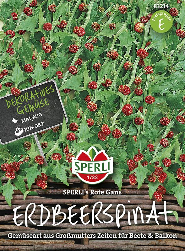 Erdbeerspinat
