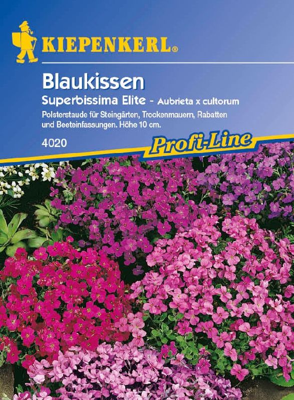 Aubrieta Superbissima Elite