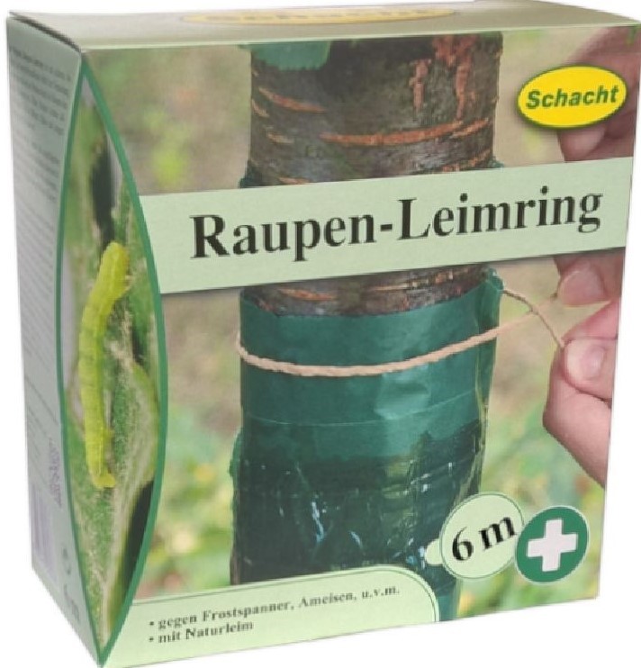 Raupen Leimring