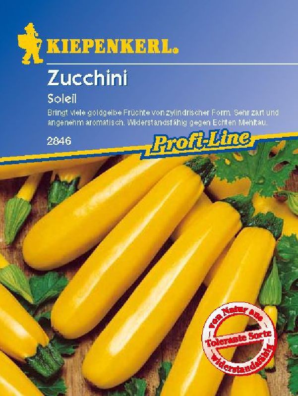 Zucchini  Soleil, gelb