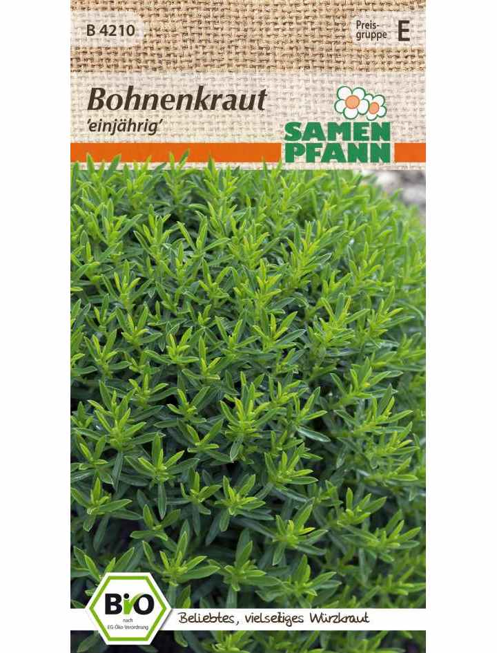 Bio Kräuter Bohnenkraut Cyrano