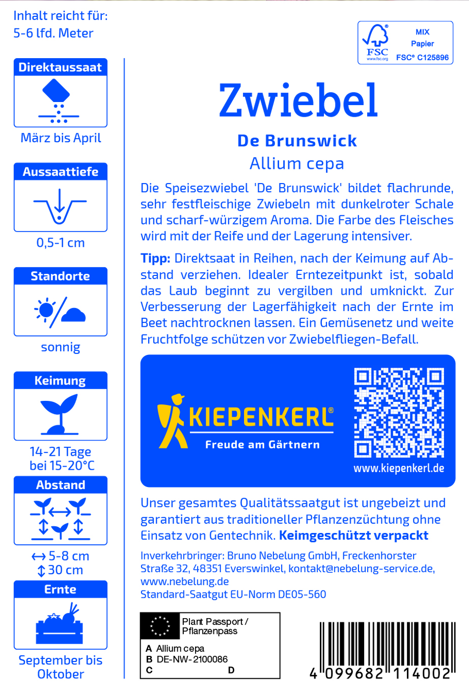 Zwiebel Braunschweiger - Produktbild 2