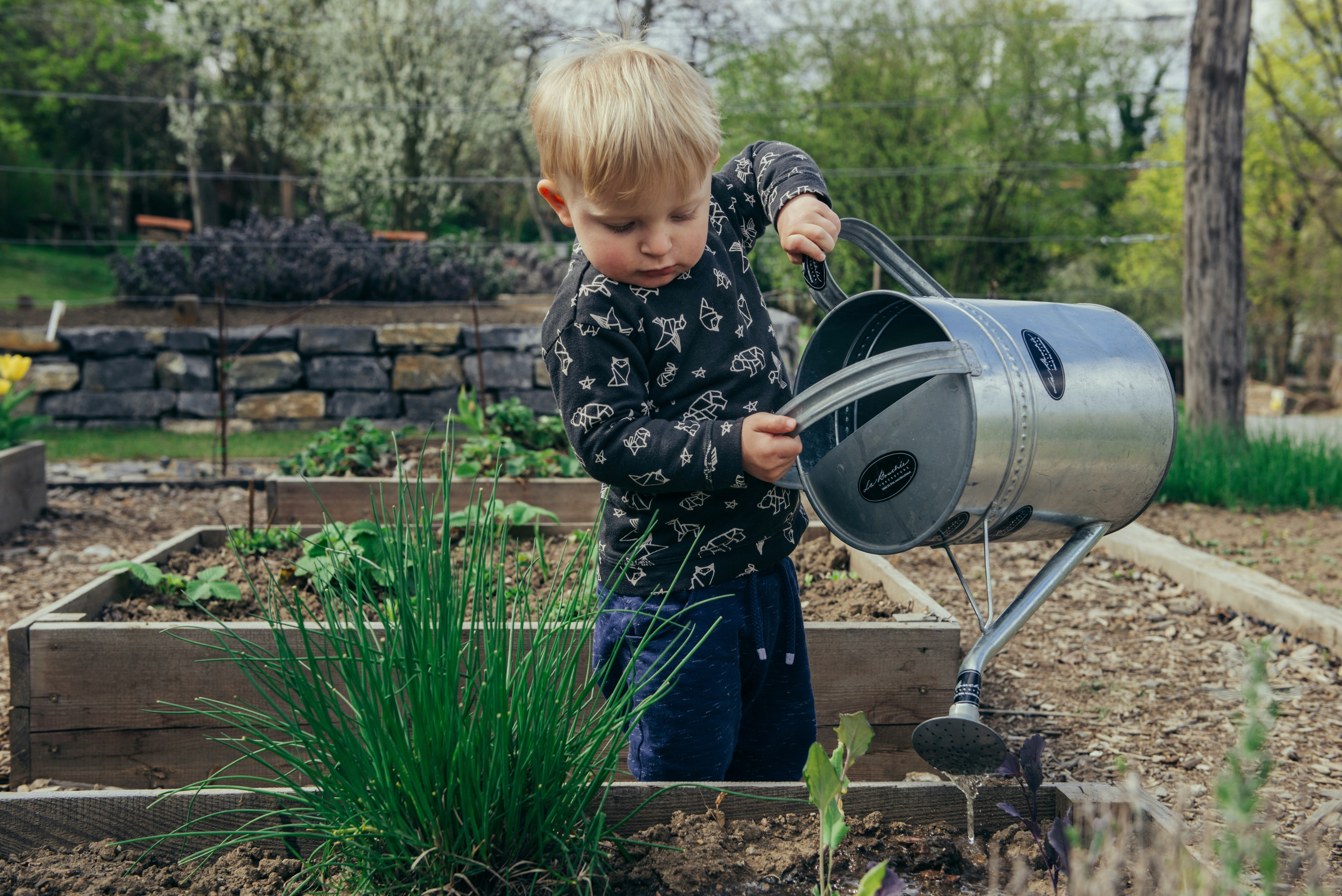 Junge im Garten