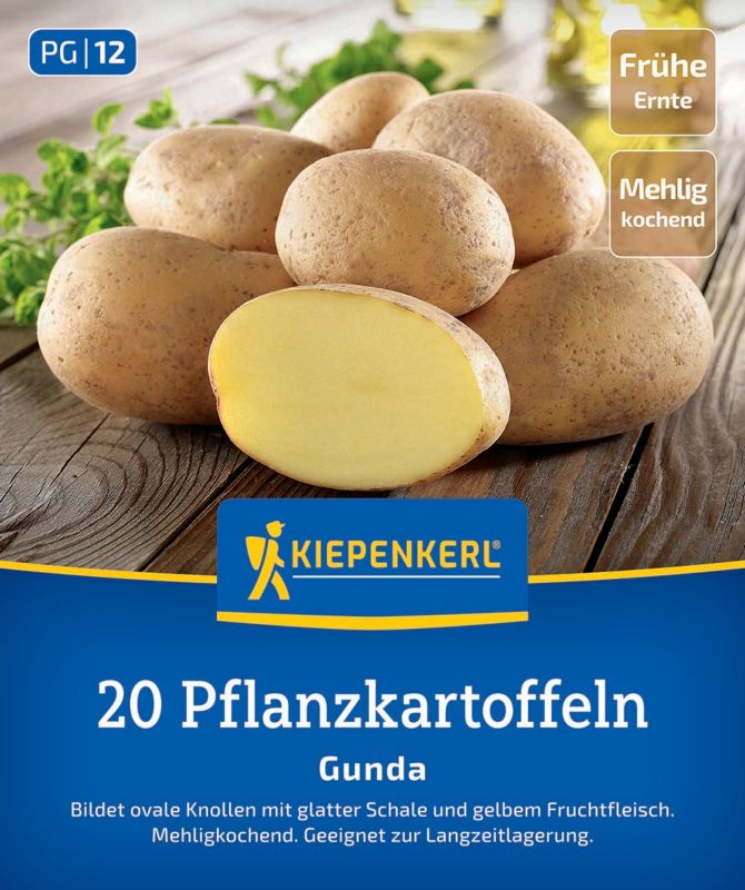 Pflanzkartoffel Gunda