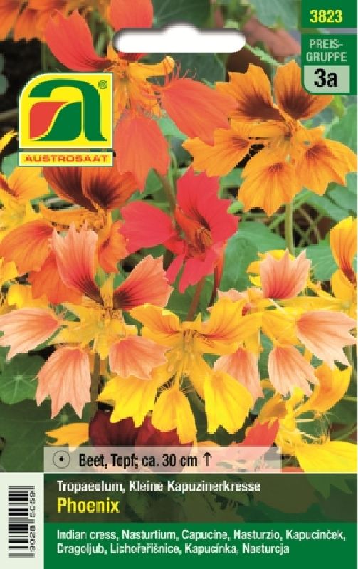 Tropaeolum Phoenix - Produktbild 1
