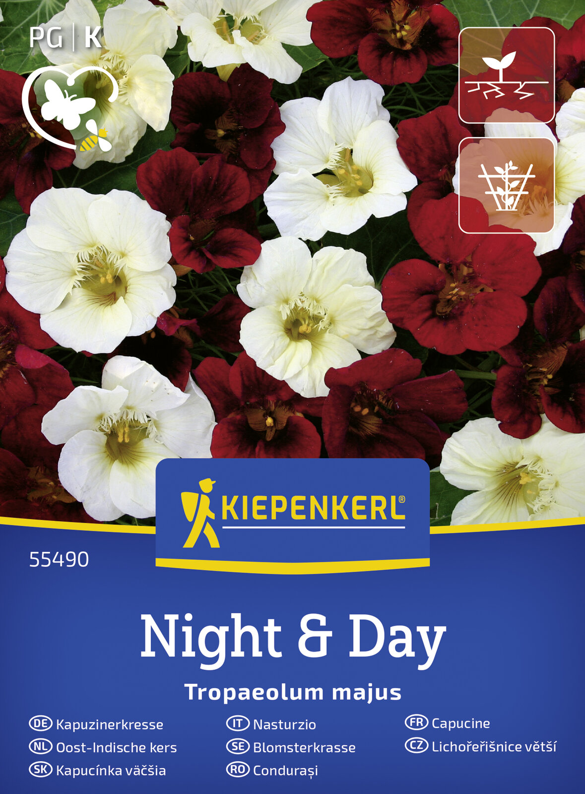 niedrige Kapuzinerkresse Night and Day