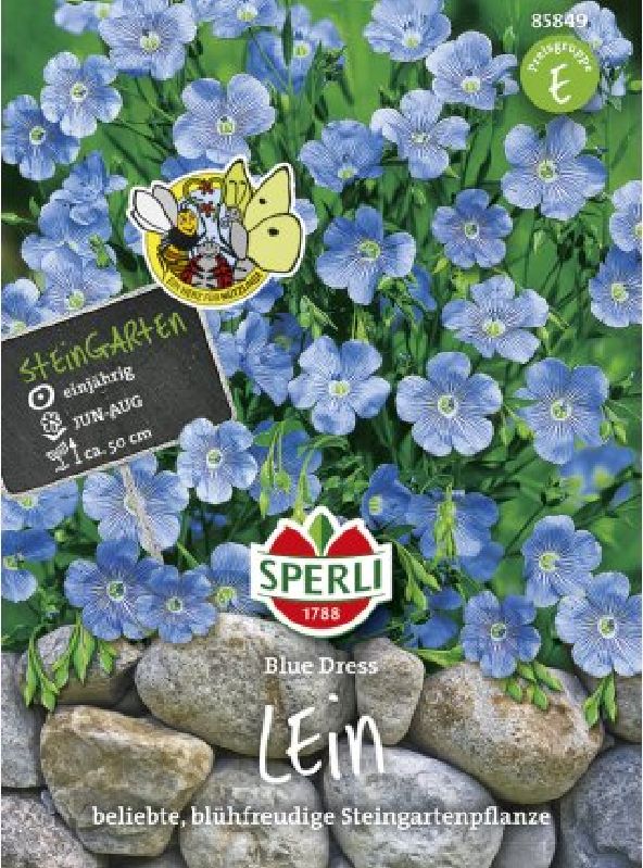 Linum grandiflorum Blue Dress