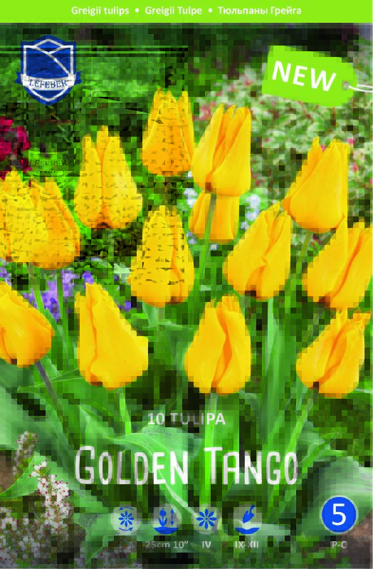 Greigii-Tulpe "Golden Tango" (Größe 11/12)