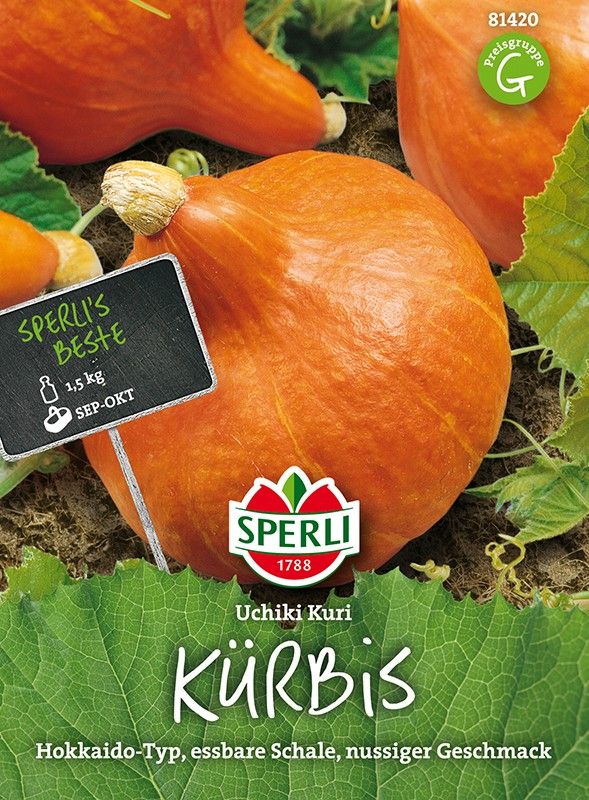 Kürbis Uchiki Kuri