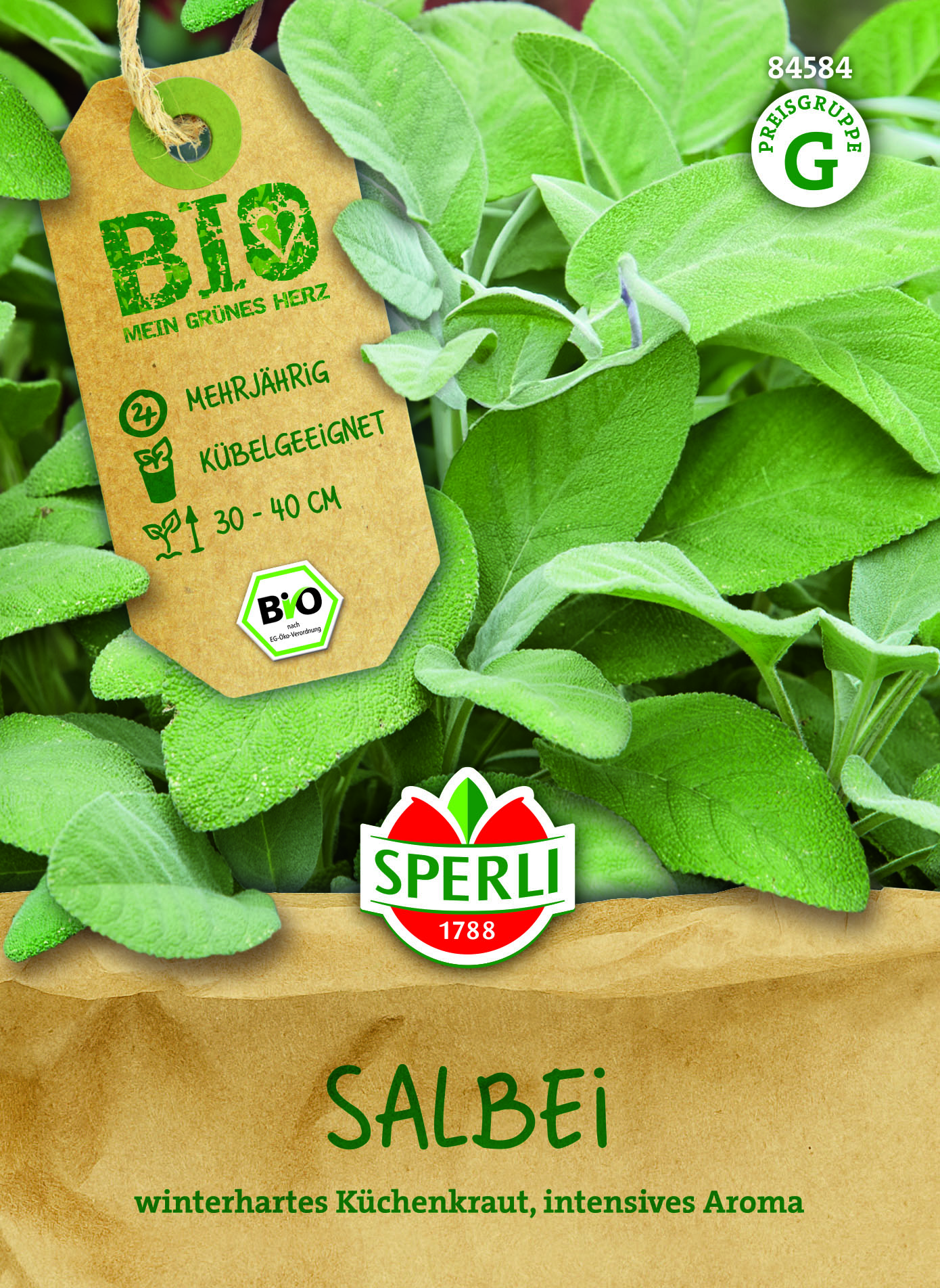 Bio Kräuter Salbei