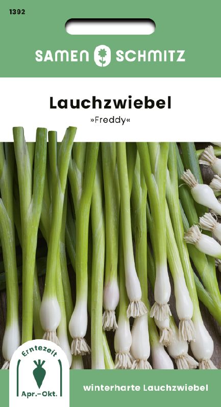 Lauchzwiebeln, Winterhecke Freddy