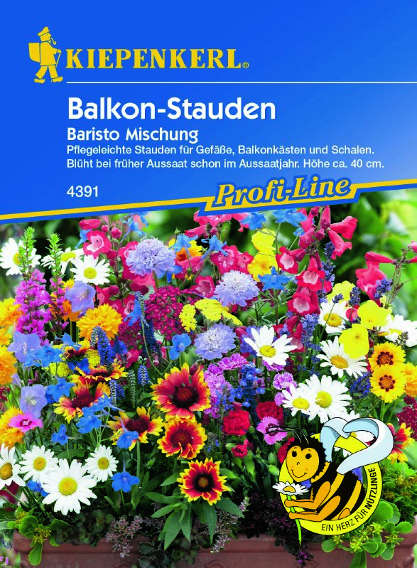 Blumenmischung Balkon Stauden Baristo
