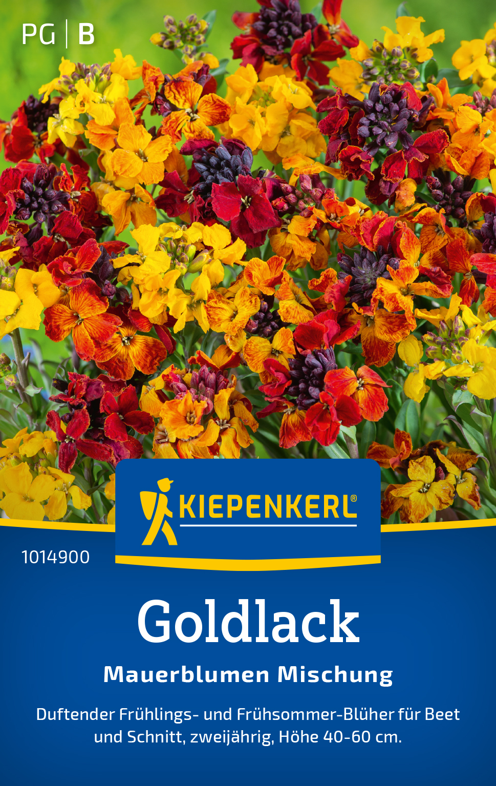 Goldlack Prachtmischung