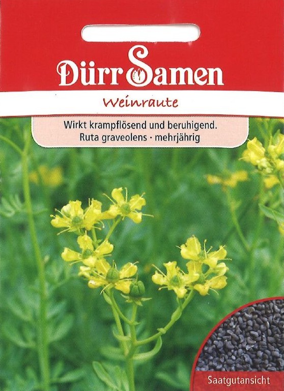 Weinraute
