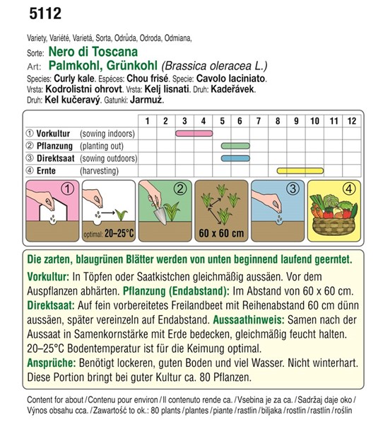 Bio Palmkohl Nero di Toscana - Produktbild 2
