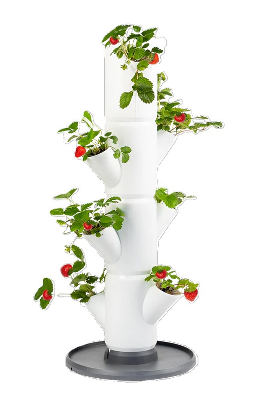 Gusta Garden, Erdbeerturm Sissi Strawberry - weiß