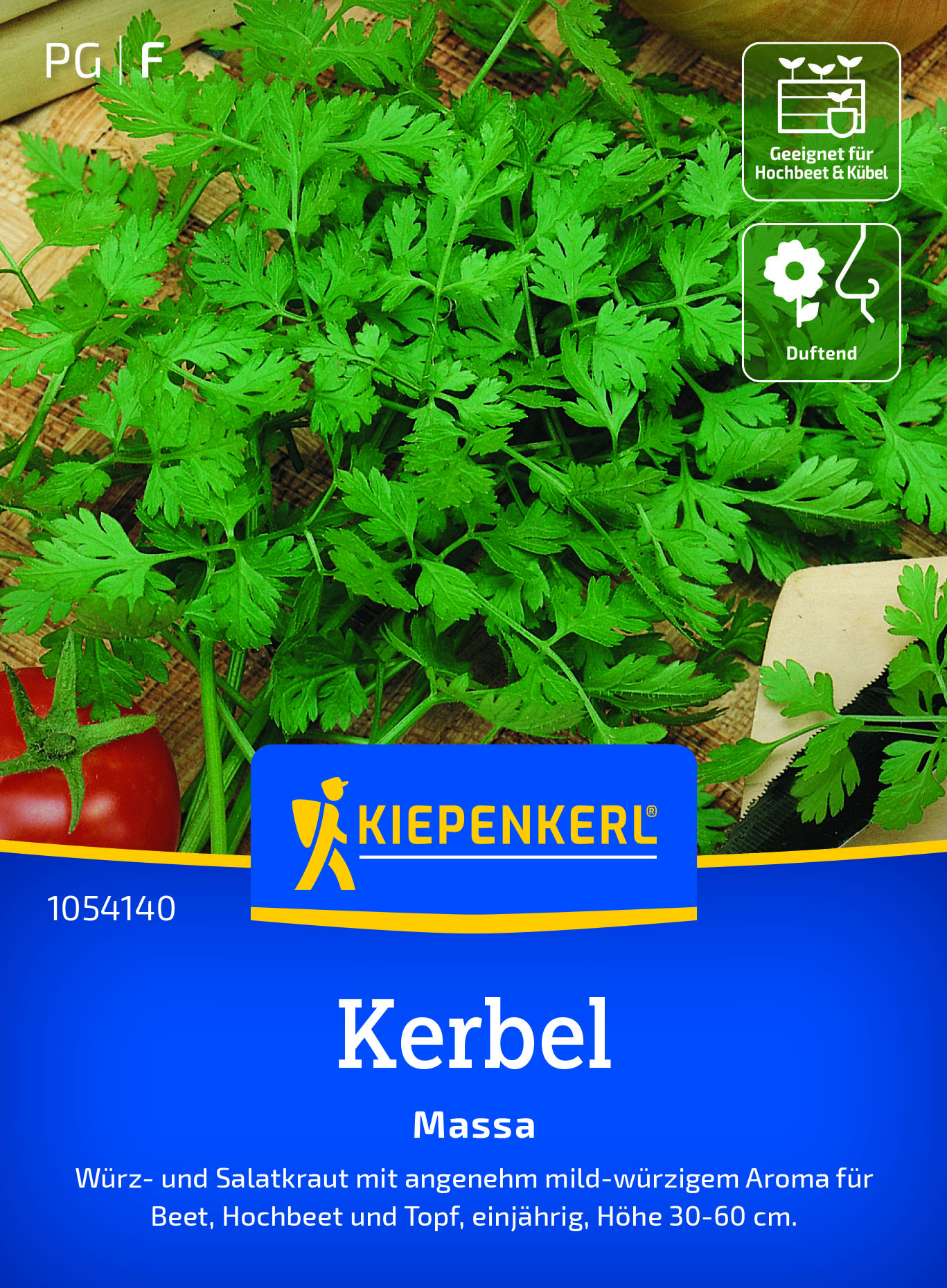 Kerbel Commun, einjährig