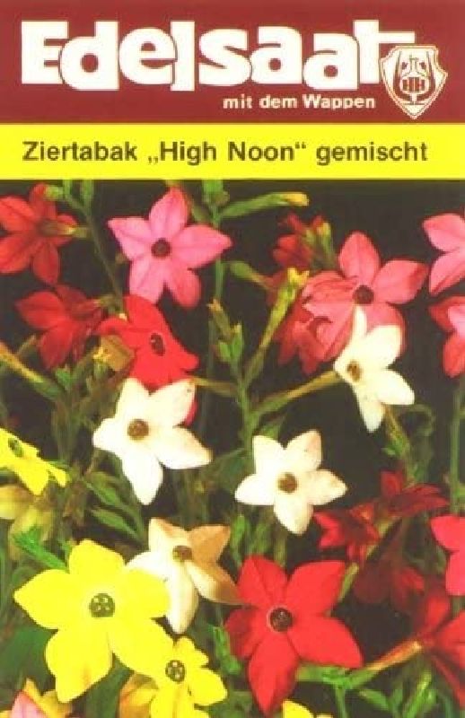 Nicotiana x sanderae High Noon
