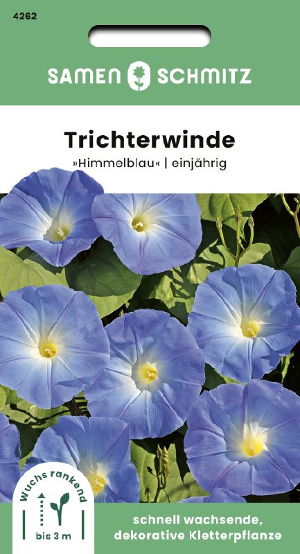 Ipomoea tricolor himmelblau
