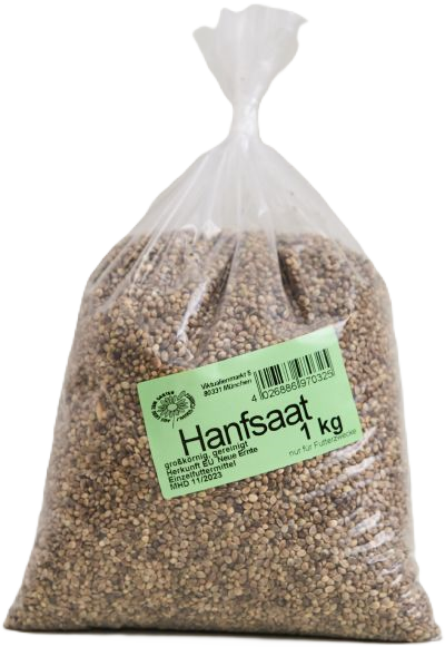 Hanfsaat
