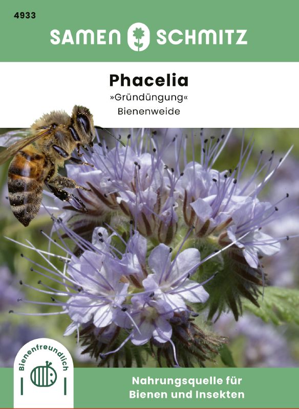 Phacelia tanacetifolia Bienenfreund