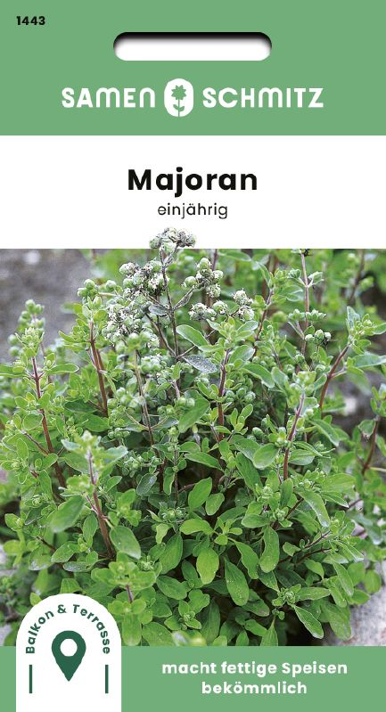 Majoran - einjährig