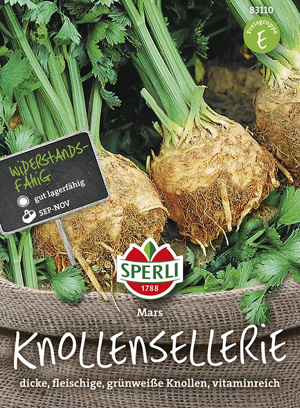 Knollensellerie Mars
