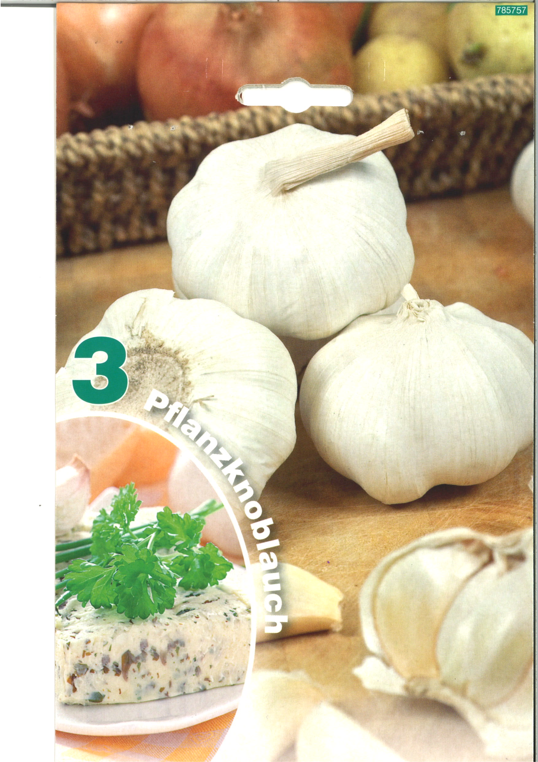 Pflanzknoblauch