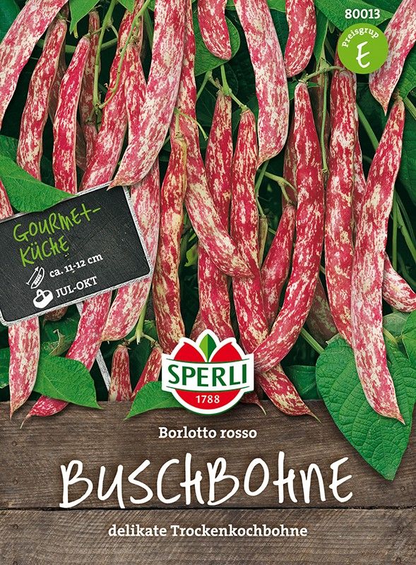 Bohne Busch Borlotto rosso