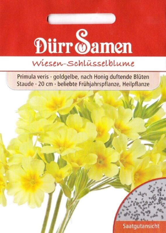 Primula veris, Echte Schlüsselblume