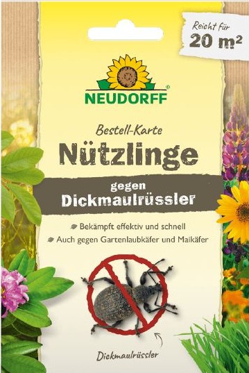 Bestell Karte gegen Dickmaulrüssler 20m² - Produktbild 1