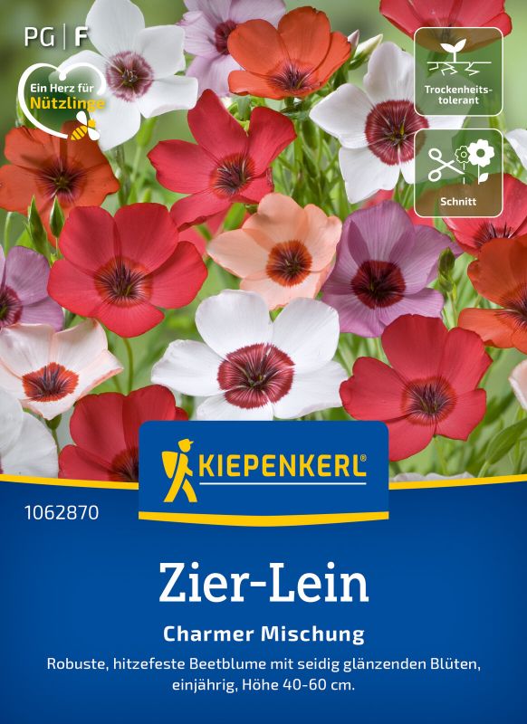 Zier Lein