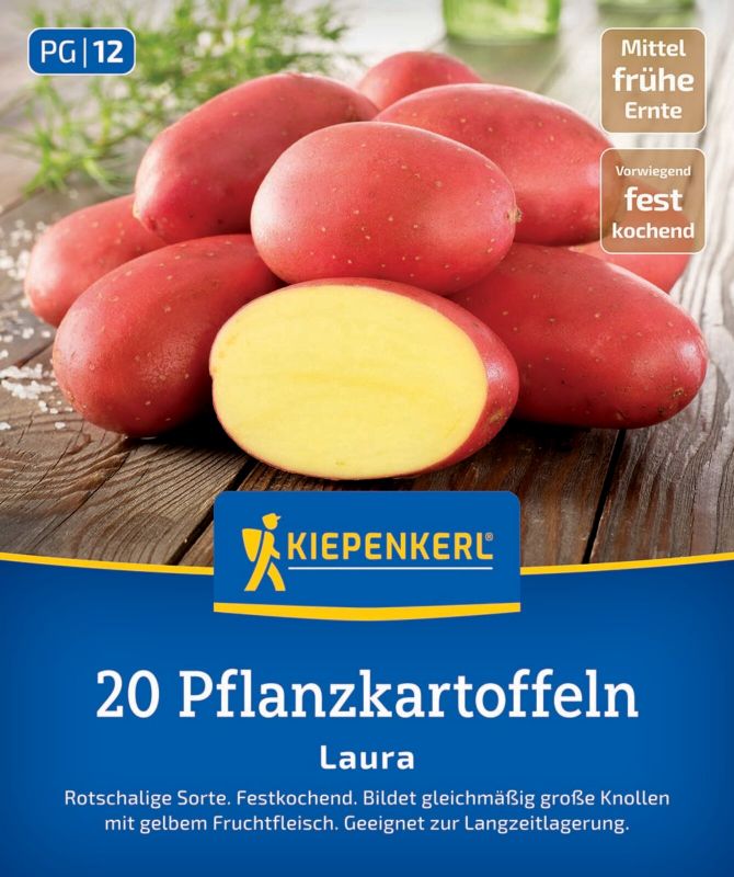 Pflanzkartoffel Laura