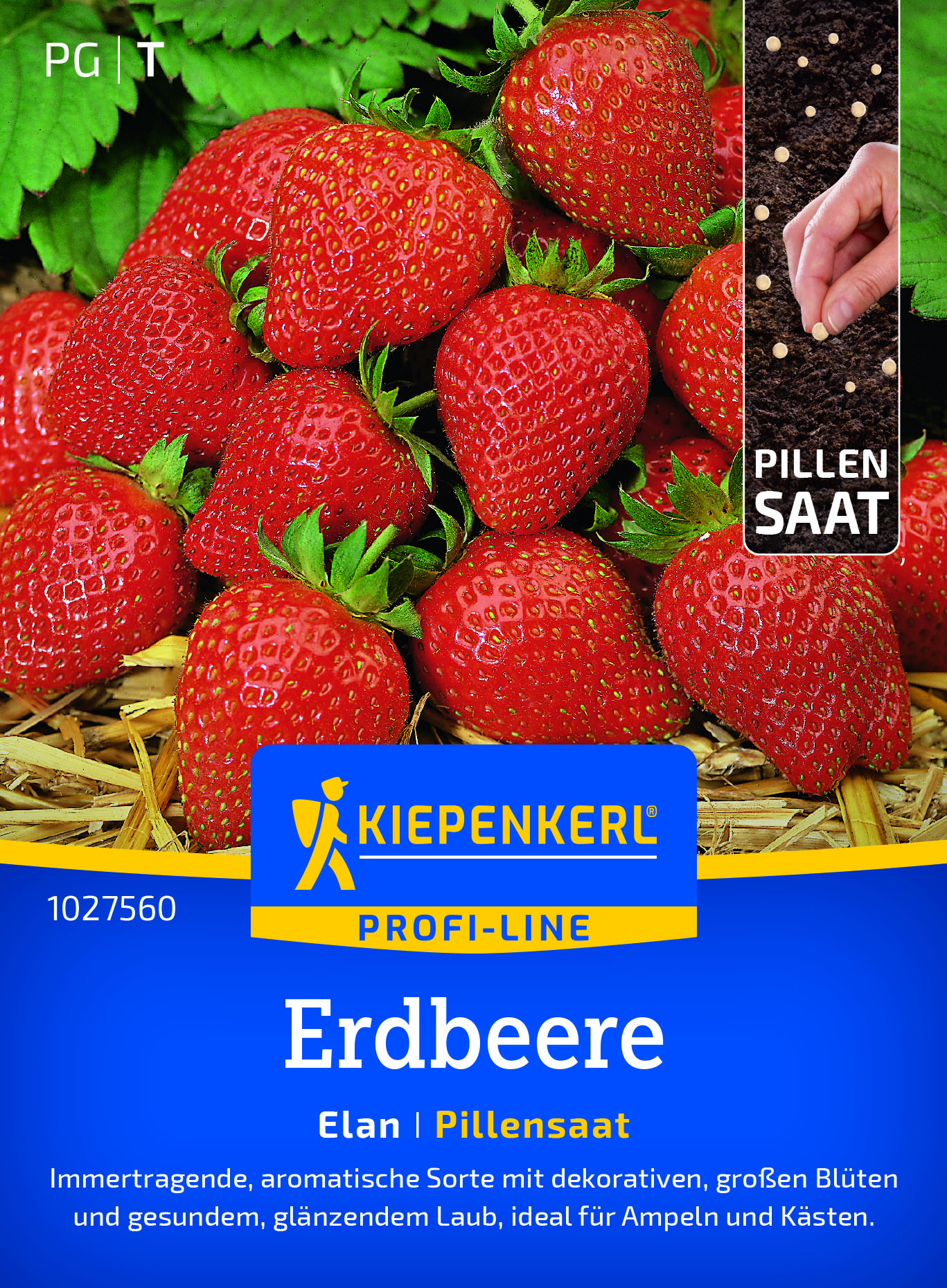 Erdbeere Elan F1