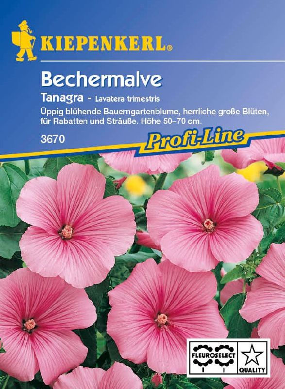 Lavatera trimestris Tanagra