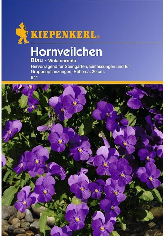 Viola cornuta blau
