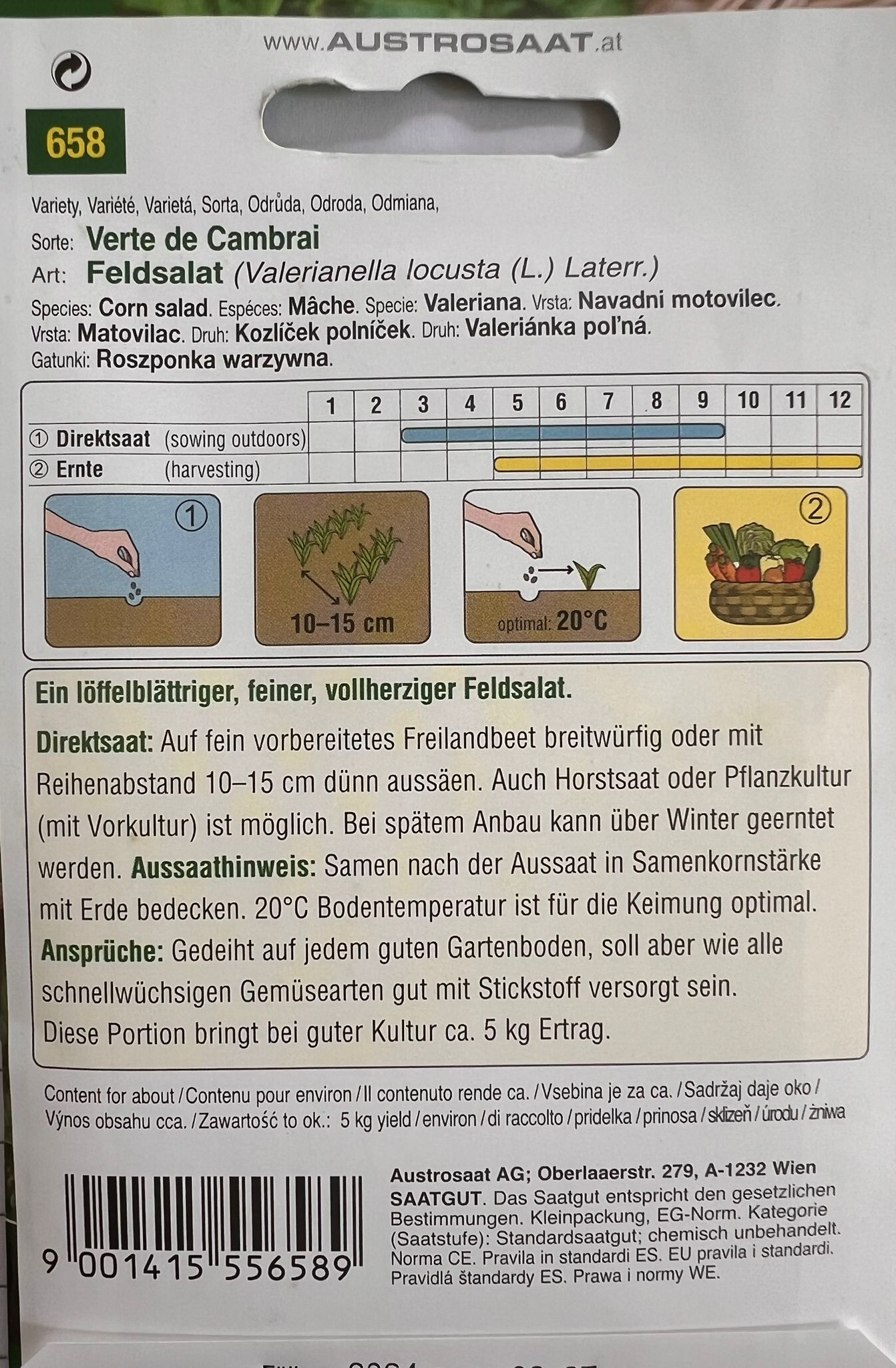 Feldsalat, Verte de Cambrai/Polar - Produktbild 2