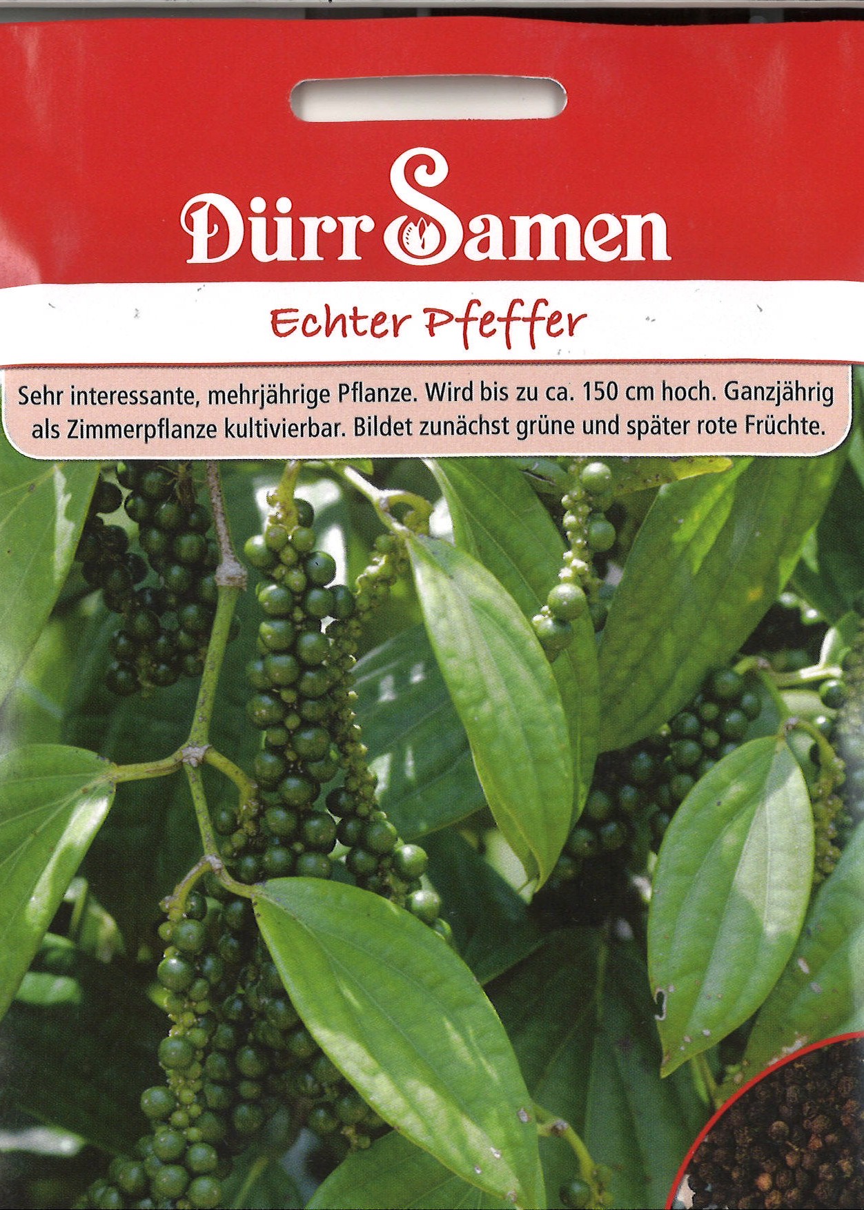 Pfeffer echter