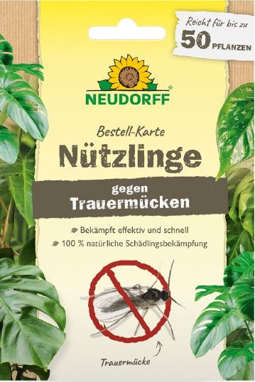 Bestell Karte gegen Trauermcken | Stck | 121840-121840