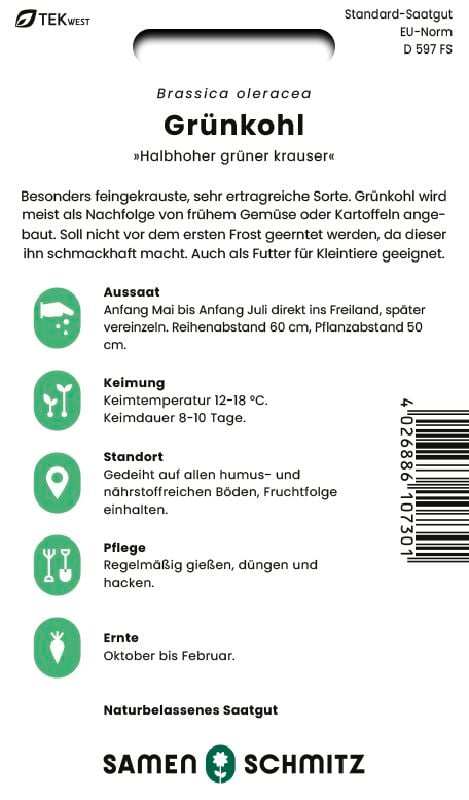 Grünkohl Halbhoher, grüner Krauser - Produktbild 2