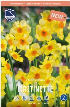 Tazetta-Narzisse ‘Martinette’