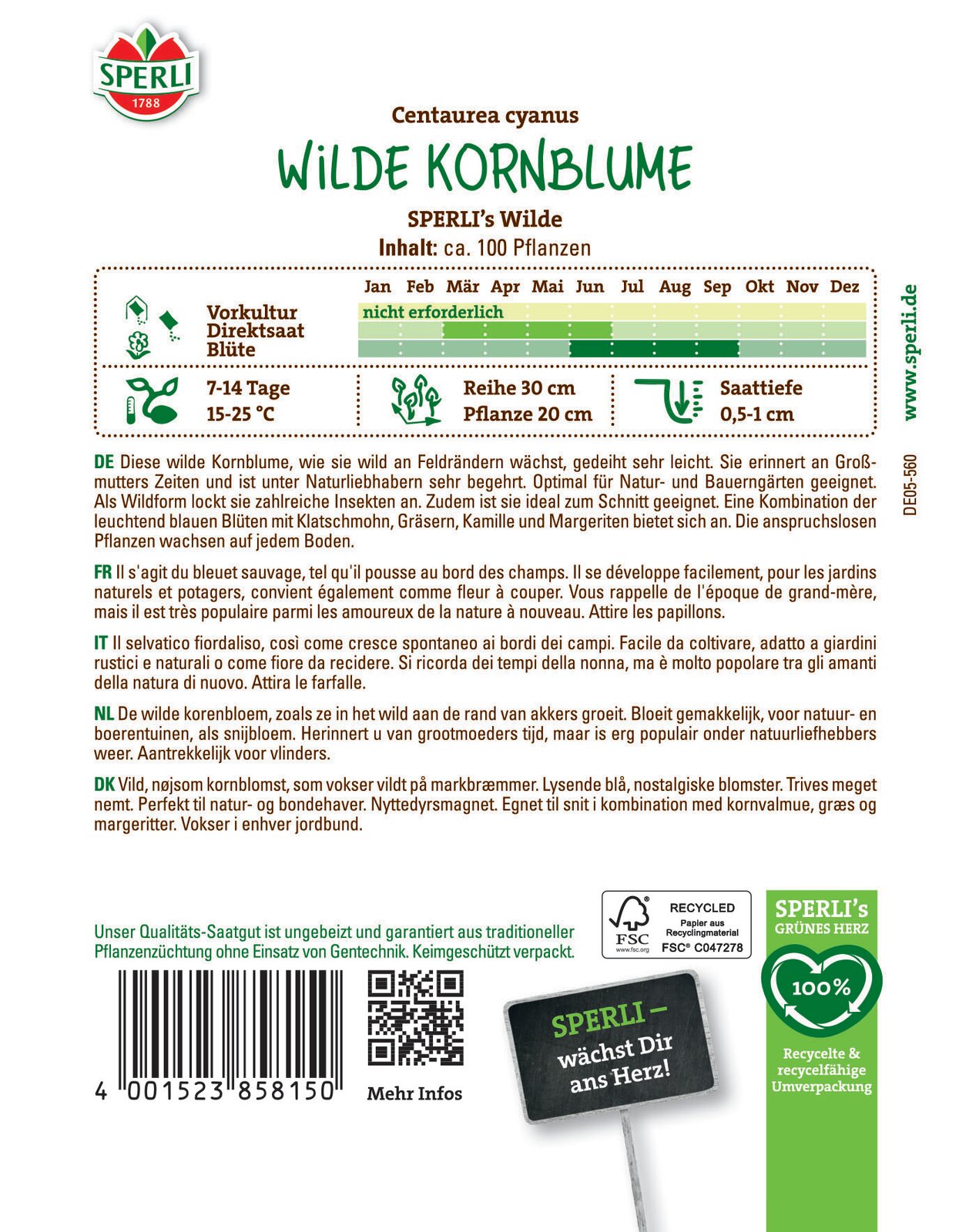 Wildblume Centaurea cyanus, Kornblume - Produktbild 2
