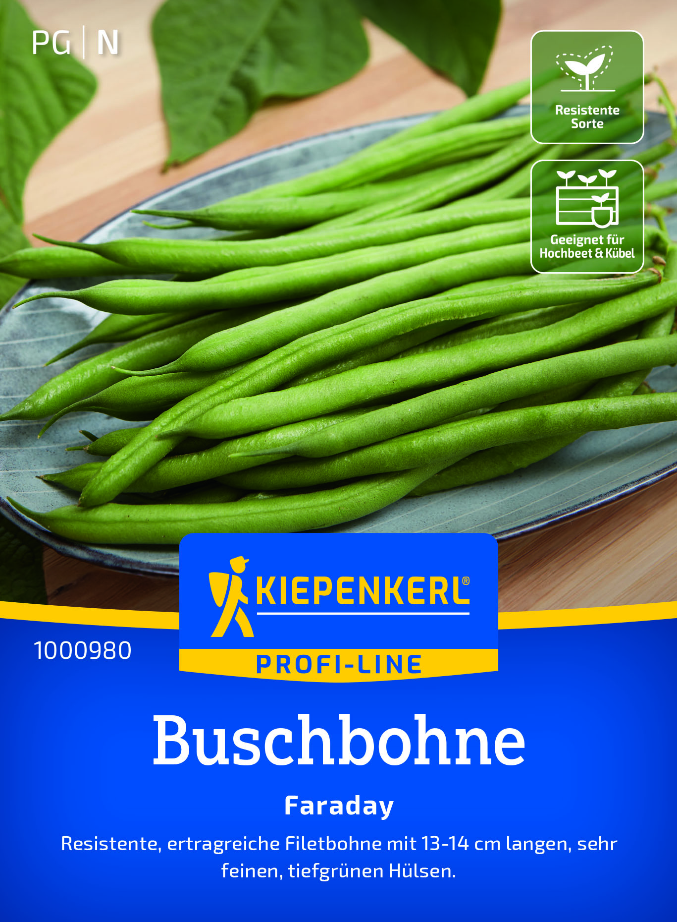 Bohne Busch Faraday