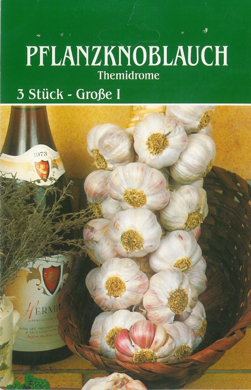 Pflanzknoblauch Thermidrome