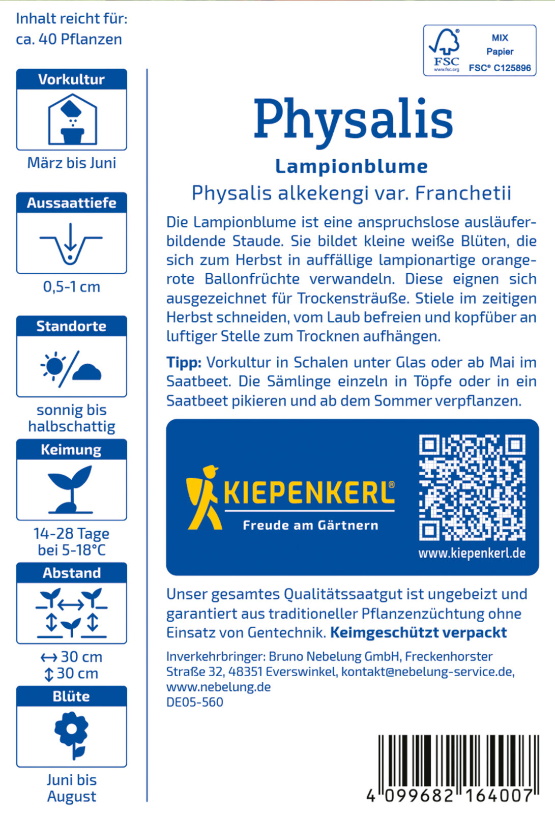 Physalis alkekengi (franchetii) - Produktbild 2